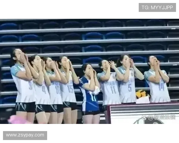 南京排球队灵活性引发热议球迷观点各异争论不断